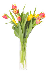 Similar image 2776135