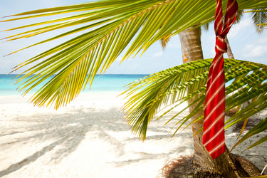 Similar image 2776263