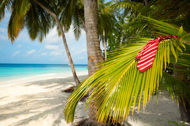 Similar image 2776265