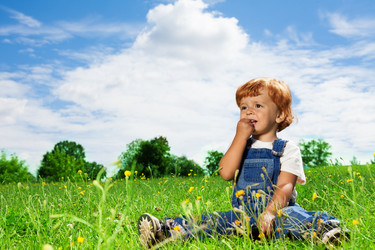 Similar image 2776268