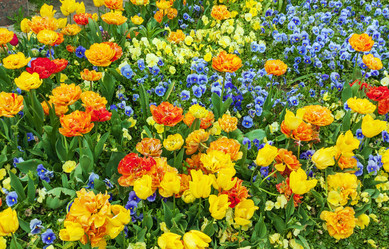 Similar image 2776436