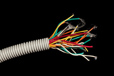 Similar image 2776615