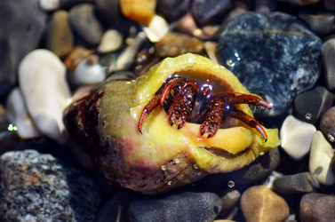 Similar image 2776657