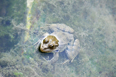 Similar image 2776658