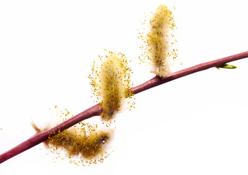 Similar image 2776718