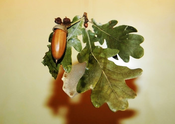 Similar image 2776750