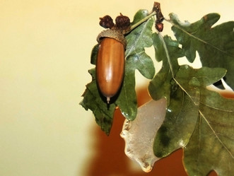 Similar image 2776751