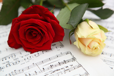 Similar image 2776799