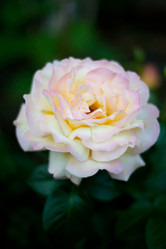 Similar image 2776817