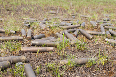 Similar image 2776876