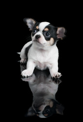 Similar image 2776924