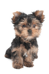 Similar image 2776929