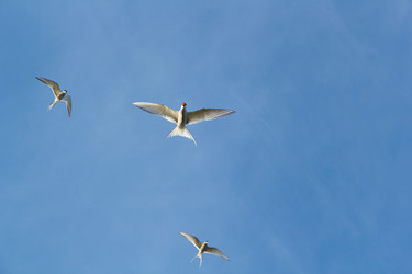 Similar image 2776996