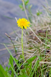 Similar image 2777000