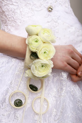 Similar image 2777003