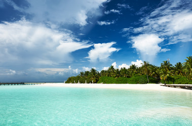 Similar image 2777112