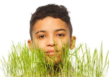 Similar image 2777495