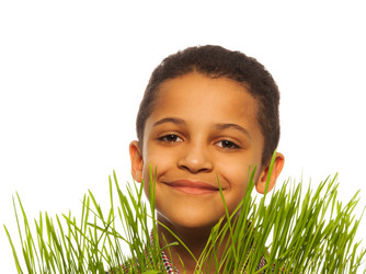 Similar image 2777523