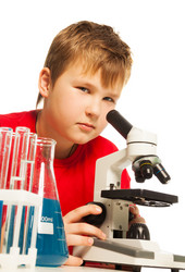 Similar image 2777559