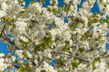 Similar image 2777594