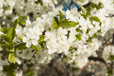 Similar image 2777595