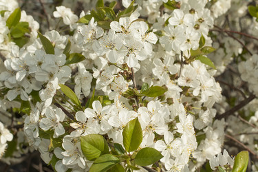 Similar image 2777597