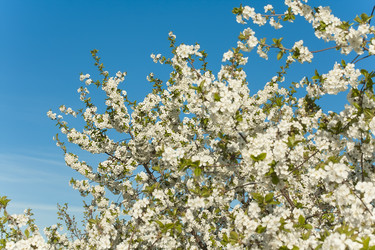 Similar image 2777598