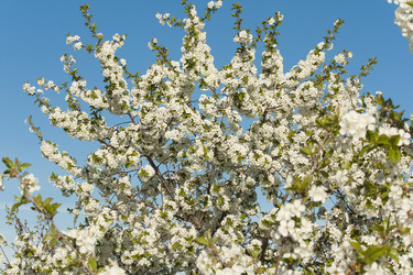 Similar image 2777606