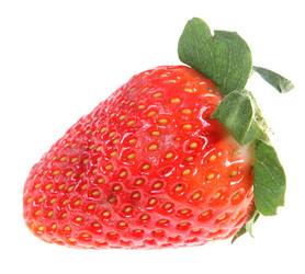 Similar image 2777845