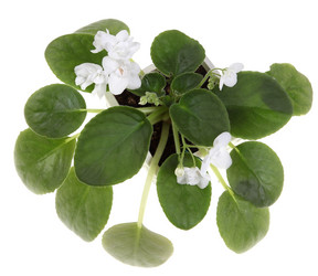 Similar image 2777853