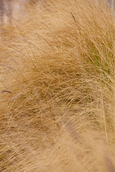 Similar image 2777859