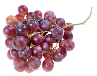 Similar image 2777950