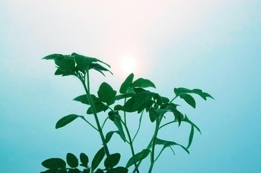 Similar image 2778010