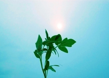 Similar image 2778011