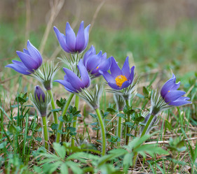 Similar image 2778014