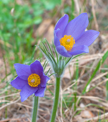 Similar image 2778015