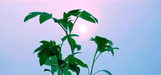 Similar image 2778053