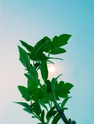 Similar image 2778055