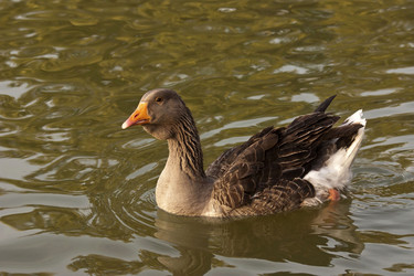 Similar image 2778063