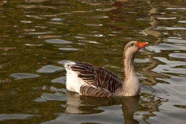 Similar image 2778064