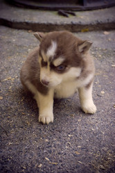 Similar image 2778075