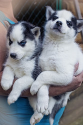 Similar image 2778078