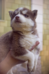 Similar image 2778081