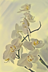 Similar image 2778171