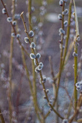 Similar image 2778174