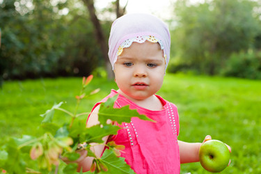 Similar image 2778593