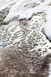 Similar image 2778694