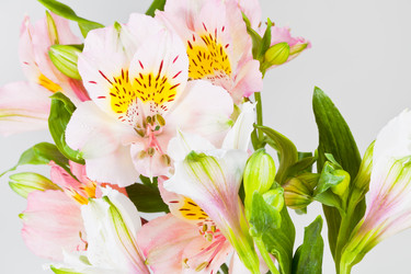 Similar image 2778748