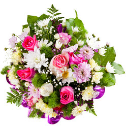 Similar image 2778762