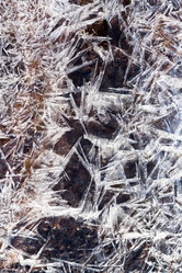 Similar image 2778767